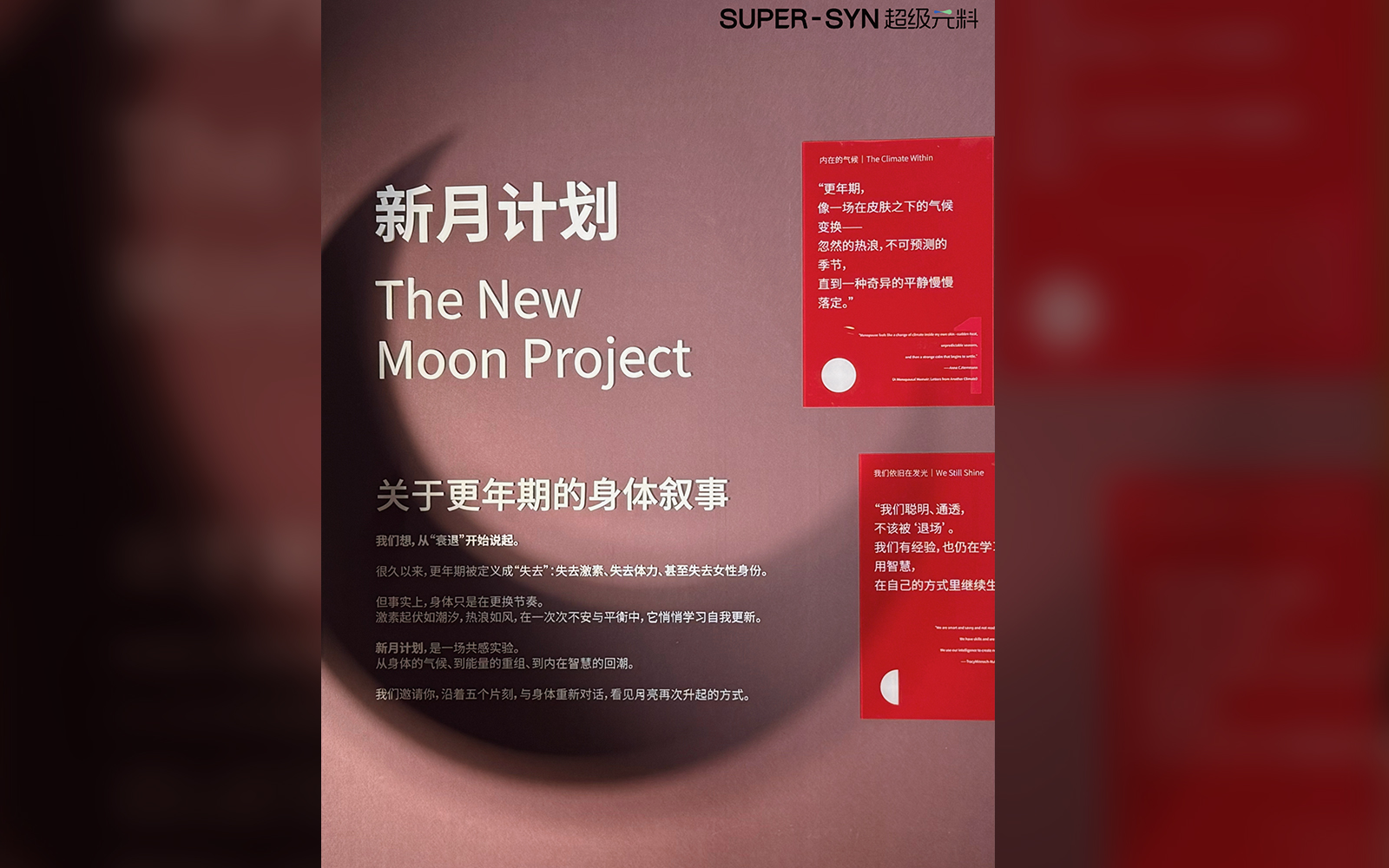 Detail of the New Moon Project exhibition